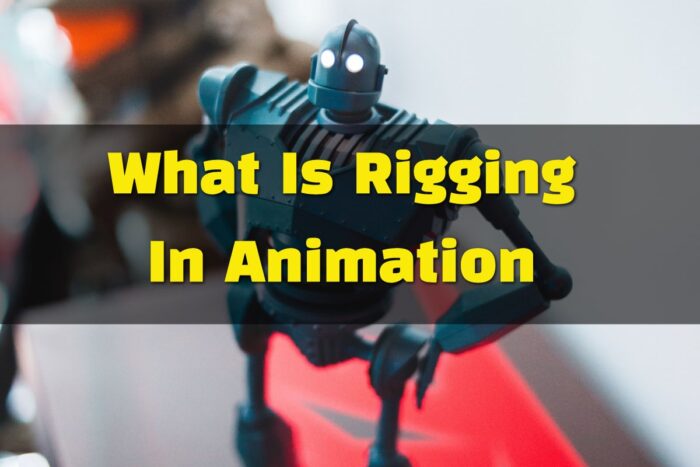 Rigging in animation